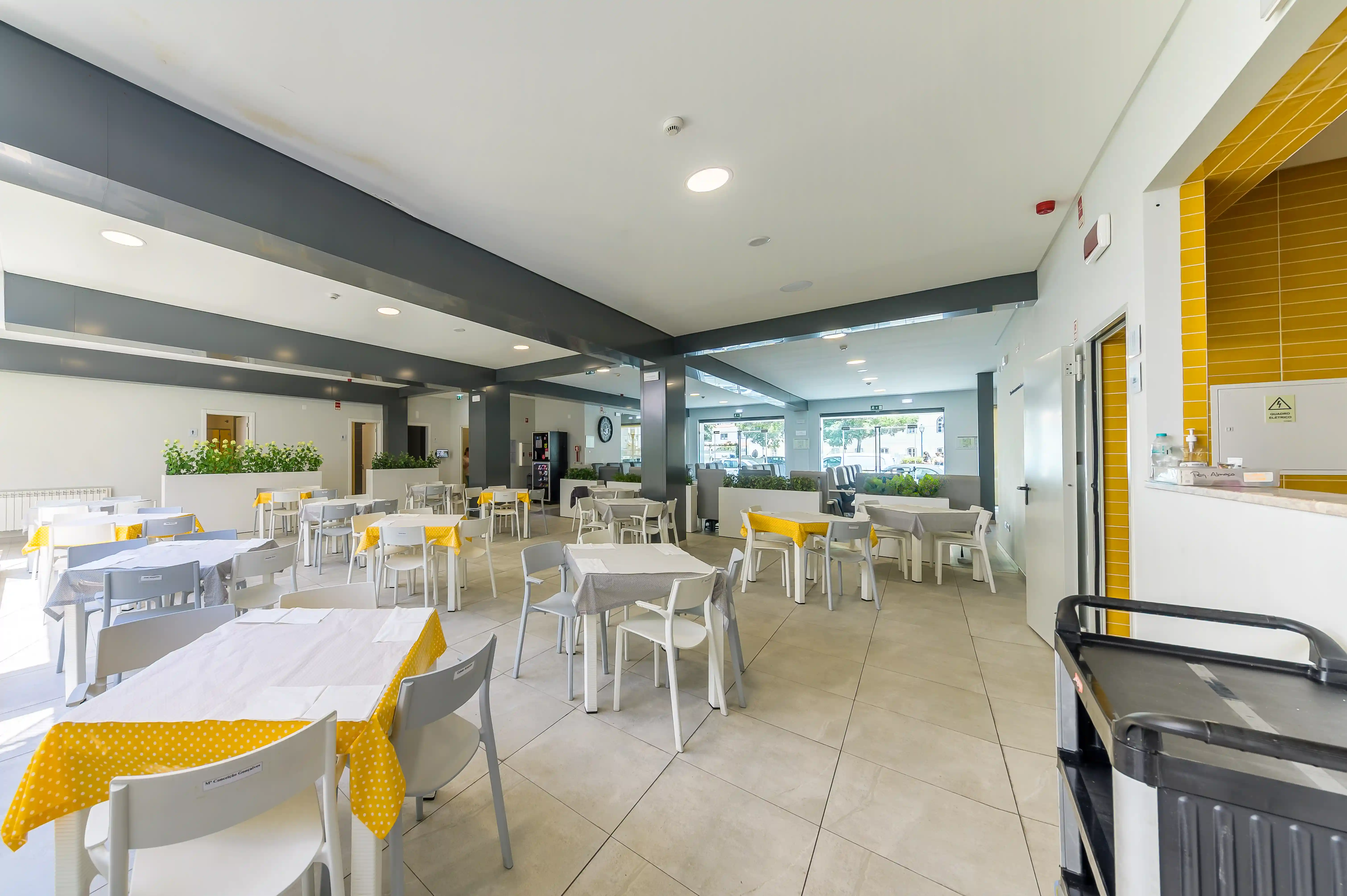 Galeria