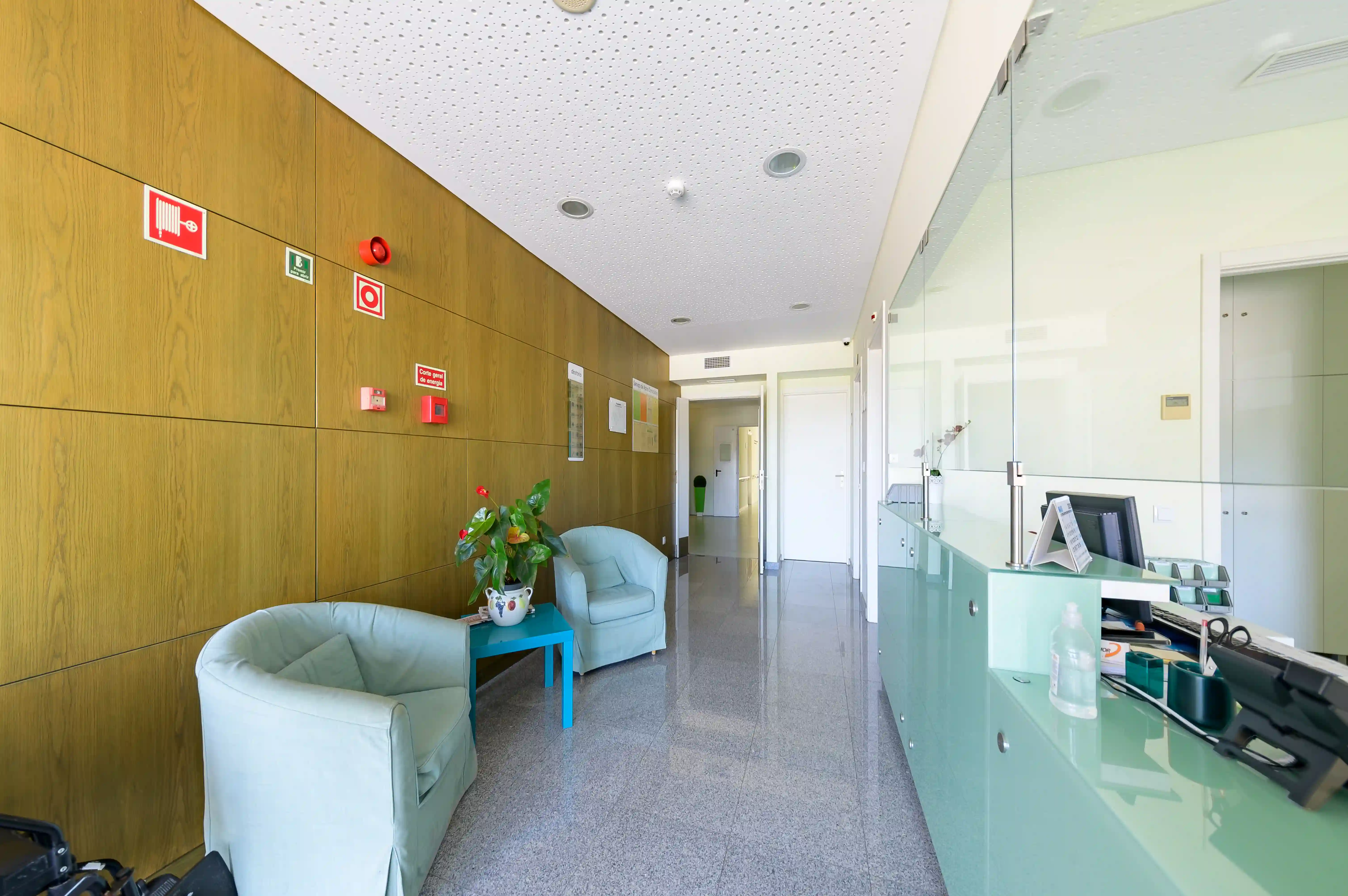 Galeria