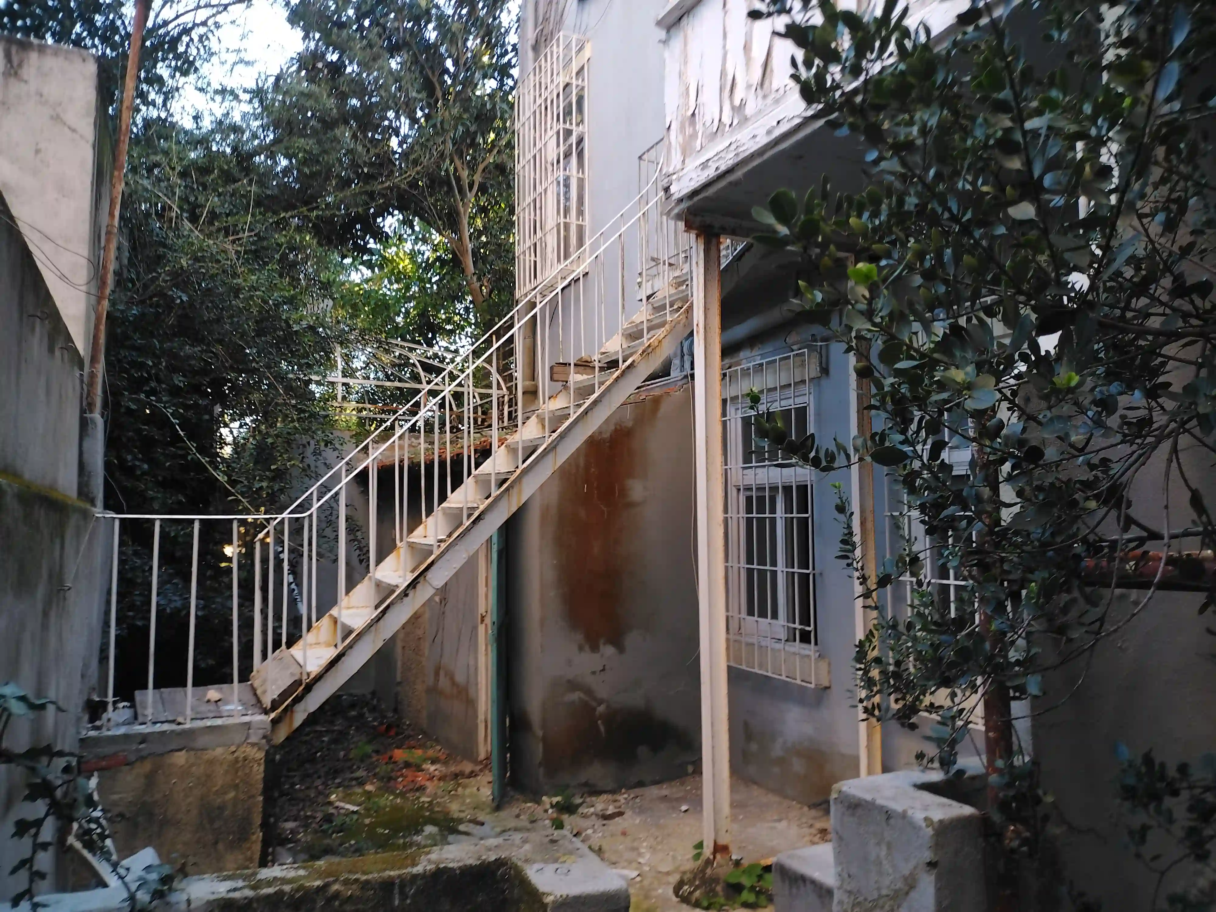 Galeria