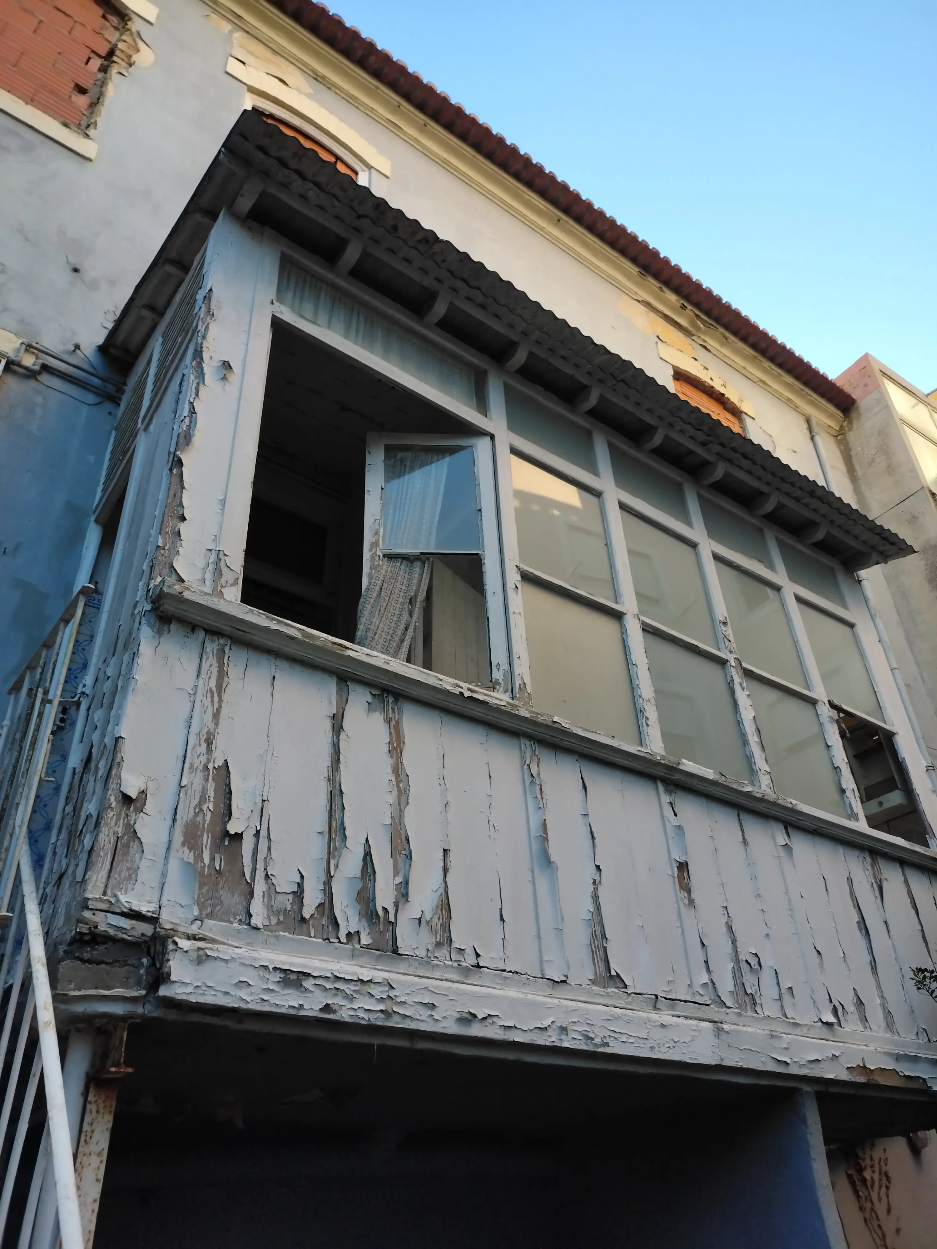 Galeria