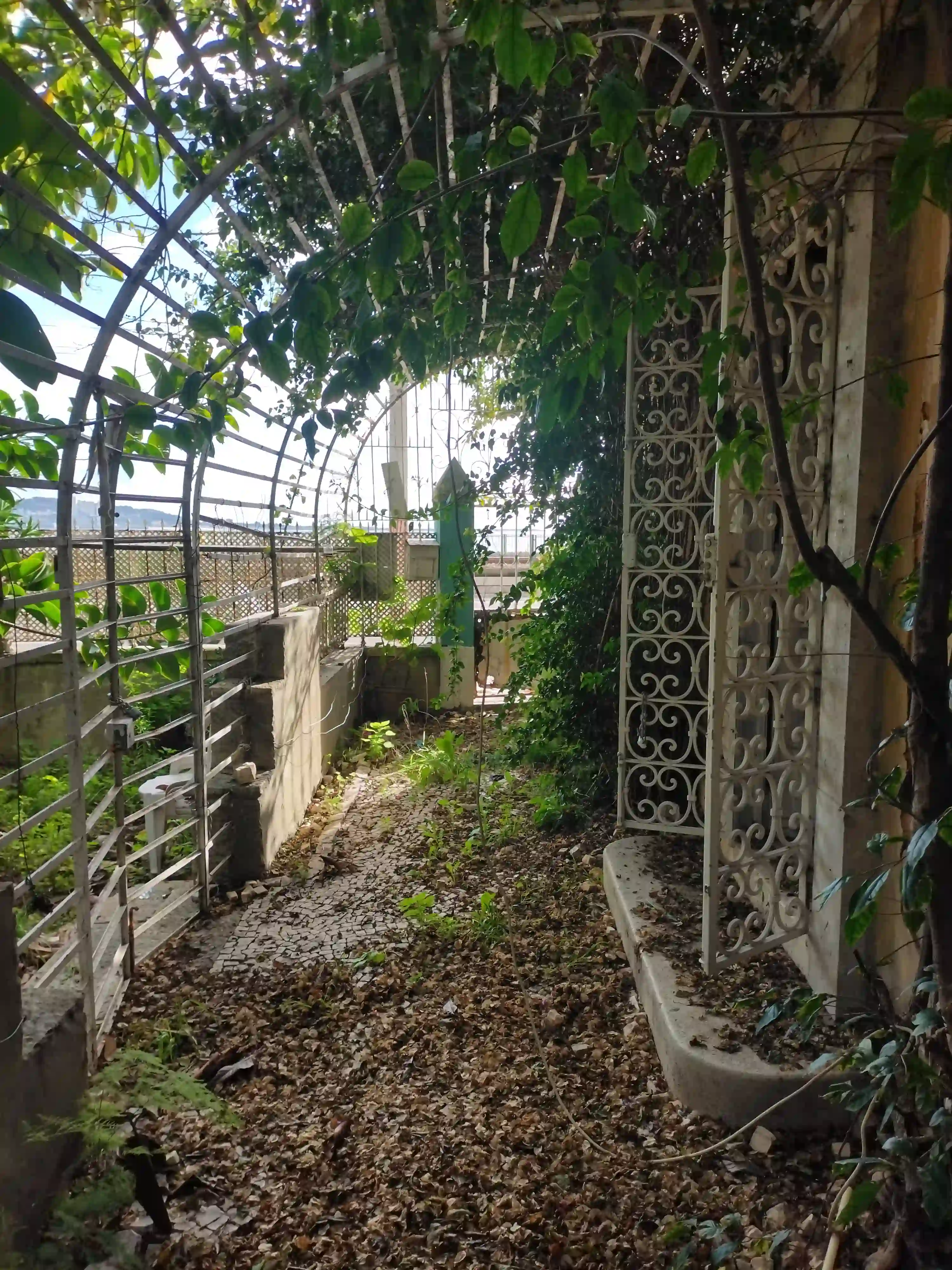 Galeria