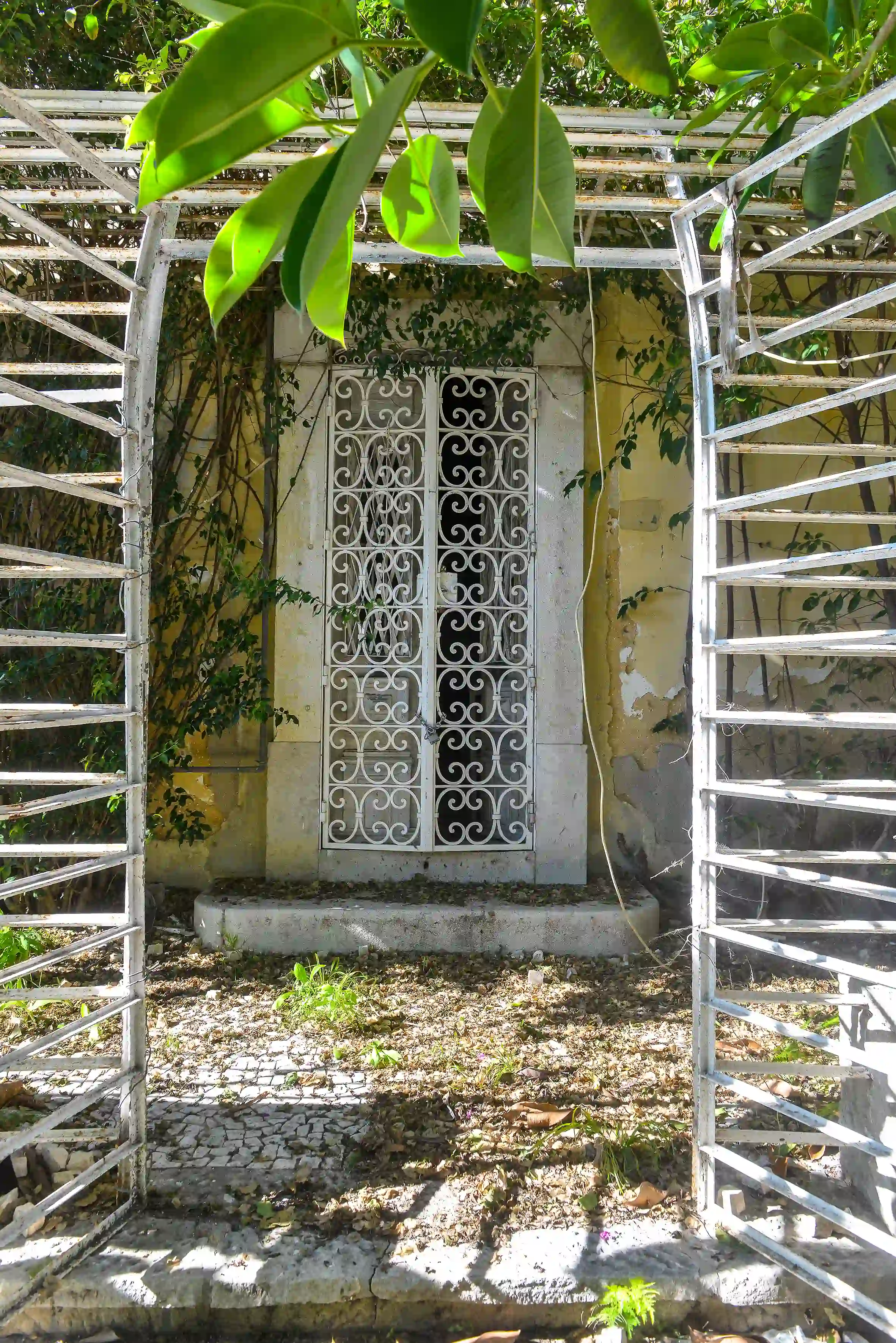 Galeria
